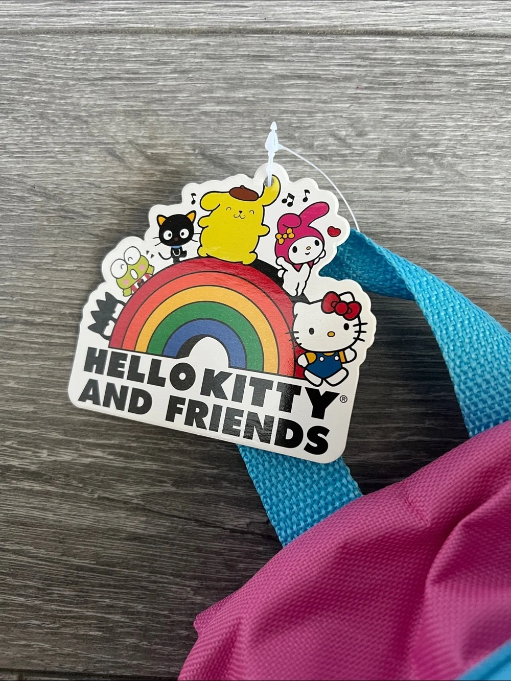 Sanrio Rainbow Friends Kids Backpack - Blue Pink